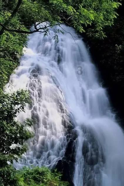 熊出没水果大陆2